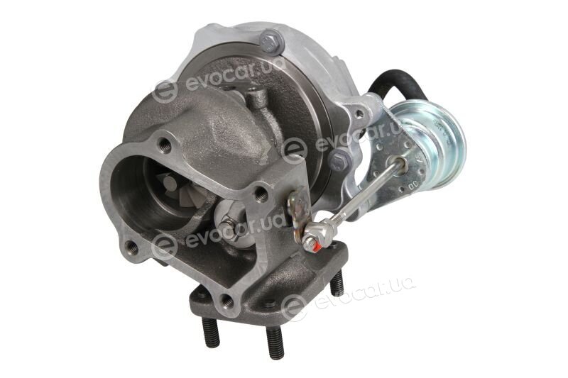 BorgWarner 53039880114