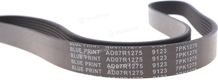 Blue Print AD07R1275