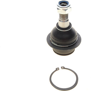 Solgy 203034