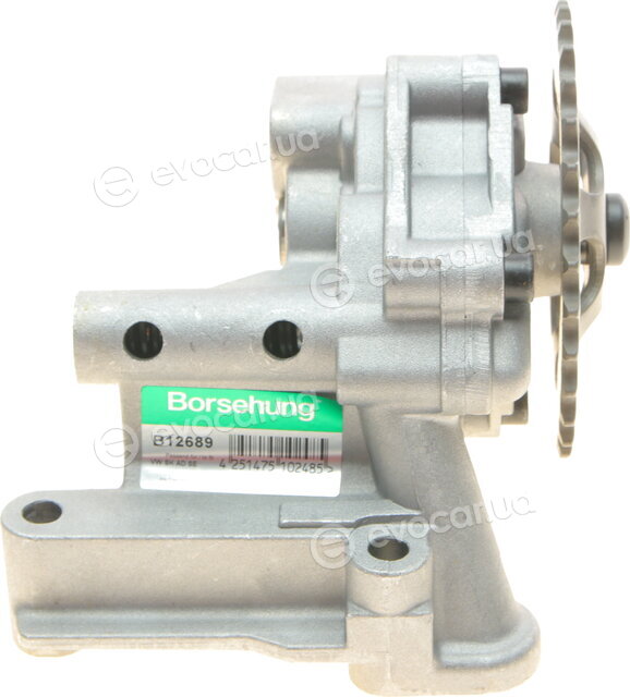 Borsehung B12689