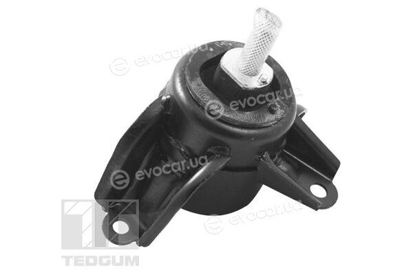 Tedgum TED95921