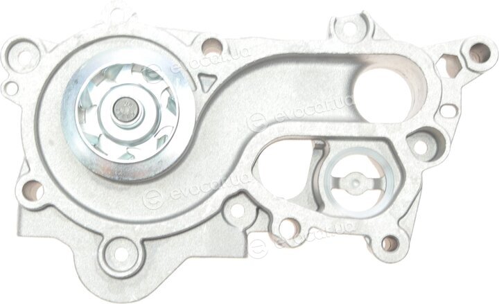 Hepu P674
