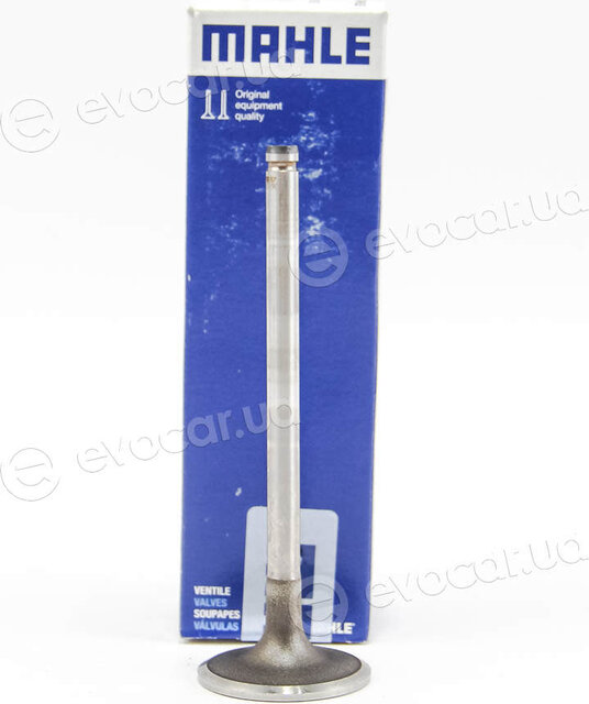Mahle 031 VE 30319 000
