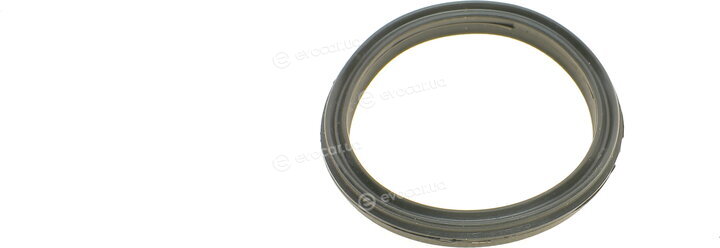 Elring 855.060