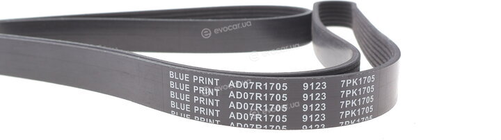 Blue Print AD07R1705