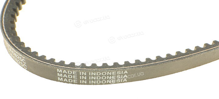 Dayco 13A0825C