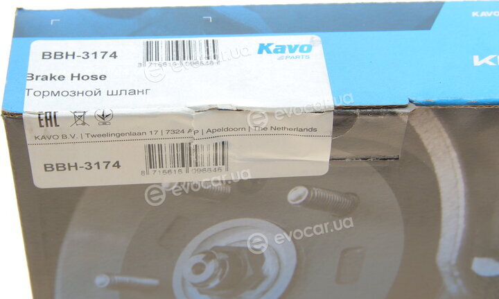 Kavo BBH-3174