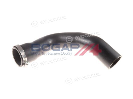 Bogap C1711155