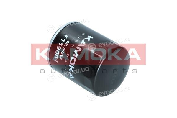 Kamoka F119001