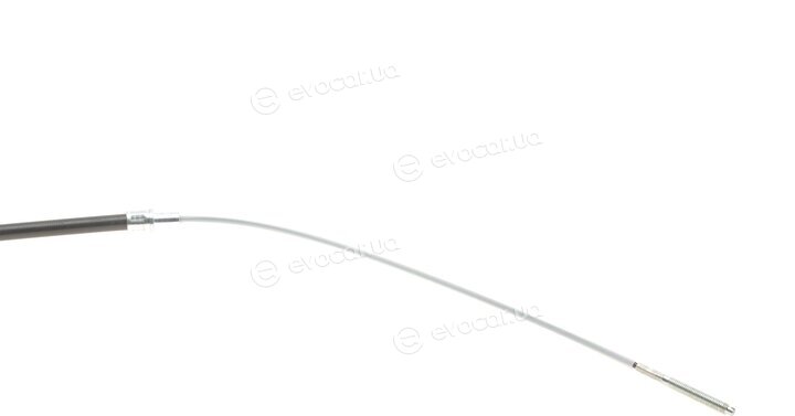 Cavo 7002 001