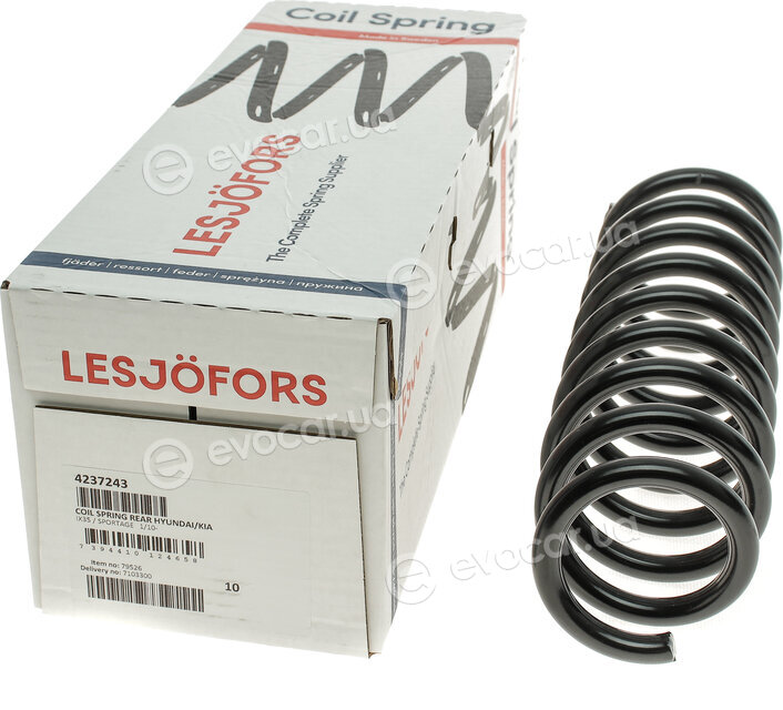 Lesjofors 4237243