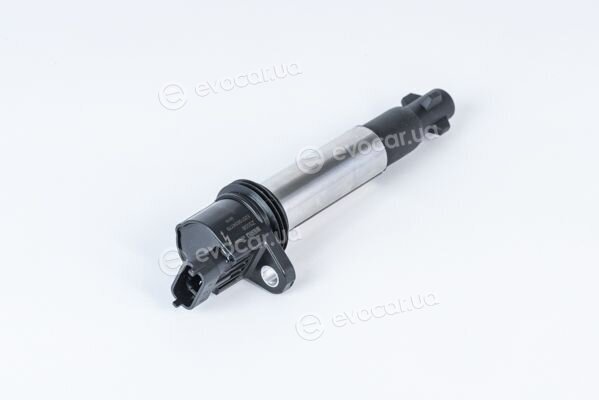 BorgWarner ZS558