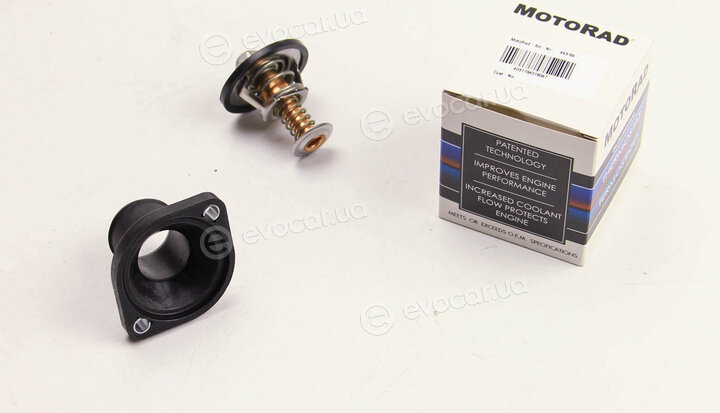 Motorad 443-89K