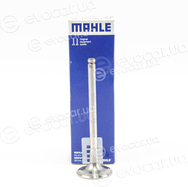 Mahle 021 VA 30387 000