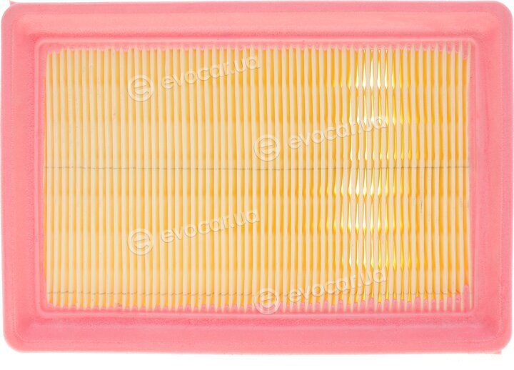 Solgy 103133
