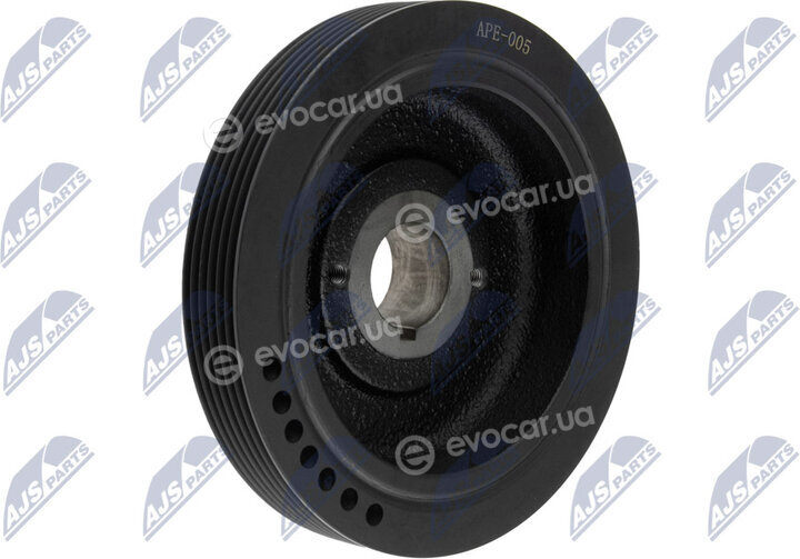 NTY RKP-PE-005