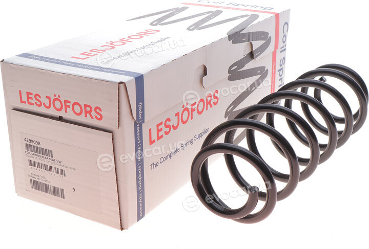 Lesjofors 4295098