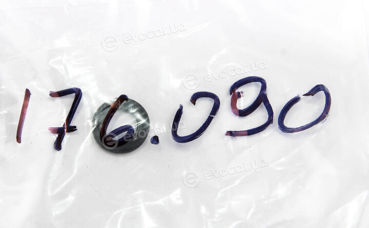 Elring 176.090