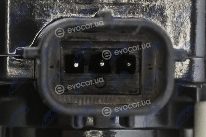 NTY ECX-TY-013