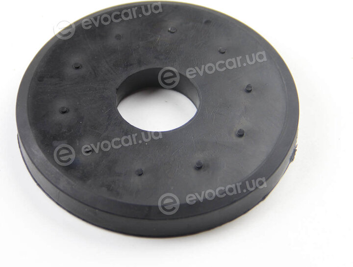 BC Guma 0257