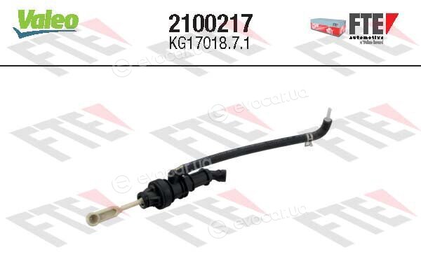 FTE 2100217
