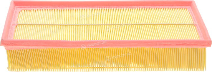 Solgy 103068