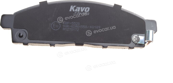 Kavo KBP-5520