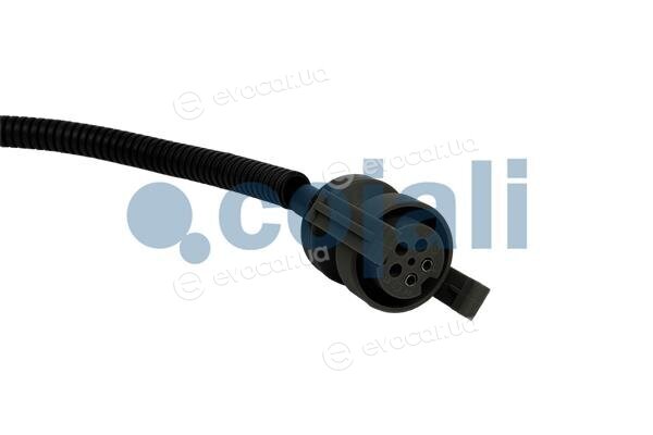 Cojali 2261037