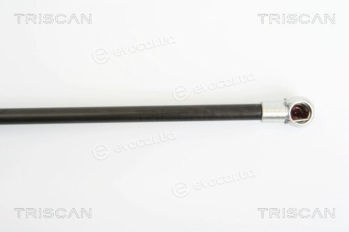 Triscan 8710 25236
