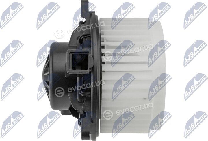NTY EWN-PL-003