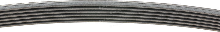 Continental 6PK1900