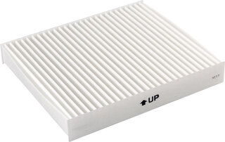 Blue Print ADN12518