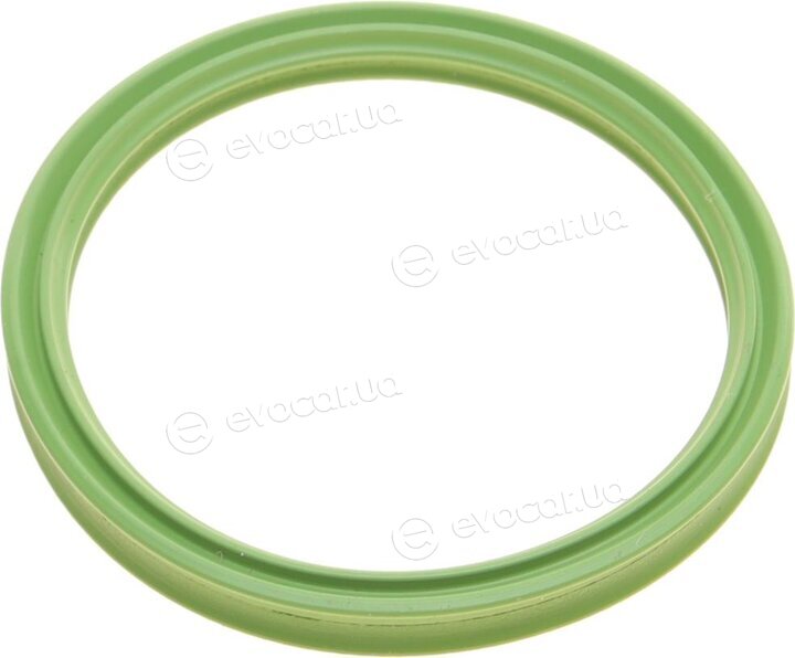 Elring 085.560