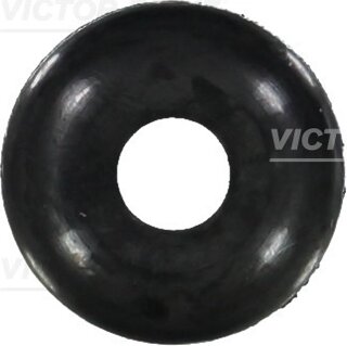 Victor Reinz 70-21569-00