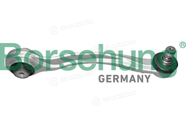 Borsehung B13738