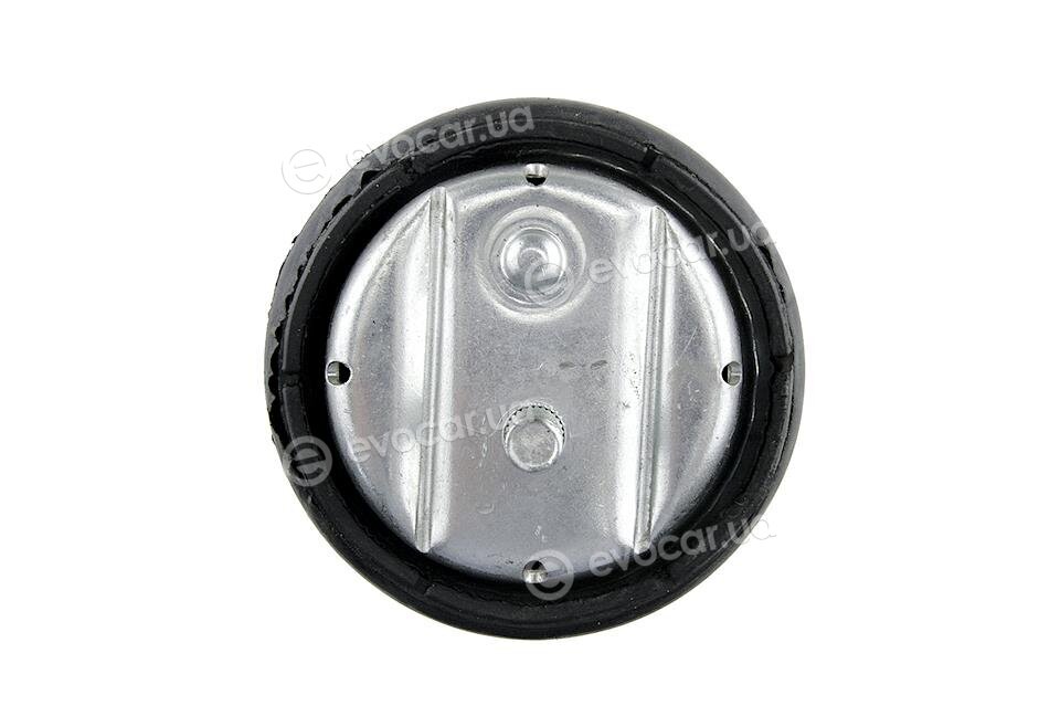 NTY ZPS-BM-002