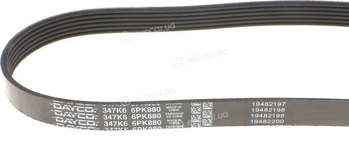 Dayco 6PK880