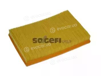 Coopers Fiaam PA7505