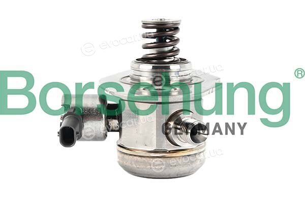 Borsehung B12582