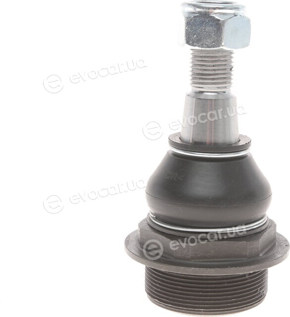 Solgy 203042
