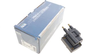 Beru ZS254