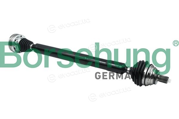 Borsehung B18356