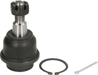Reinhoch RH03-4025
