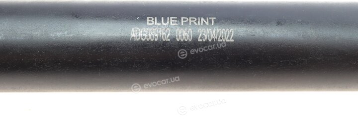 Blue Print ADG089162
