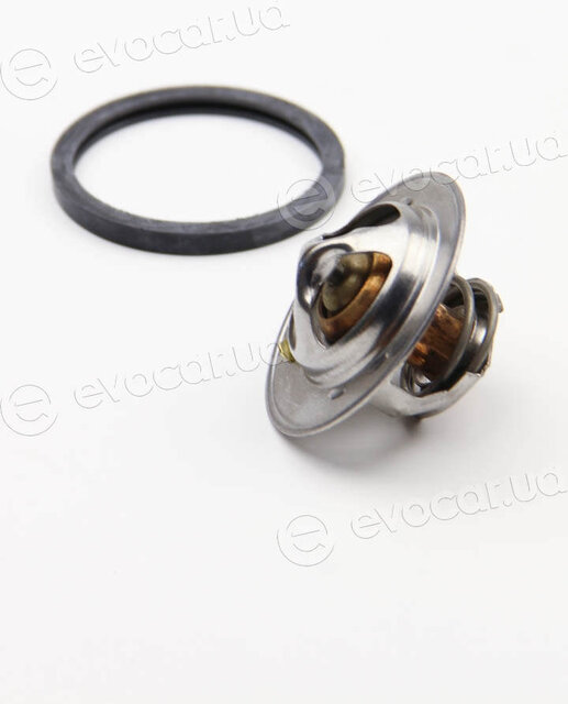 Motorad 2041-82K