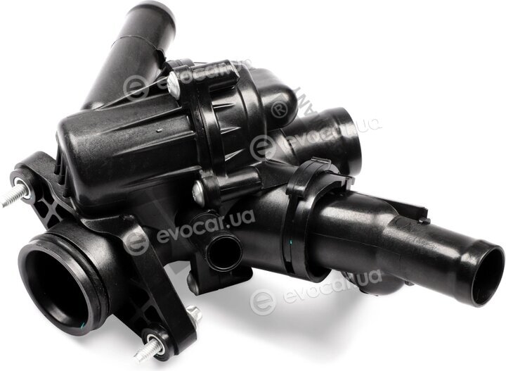 Hepu TM1398