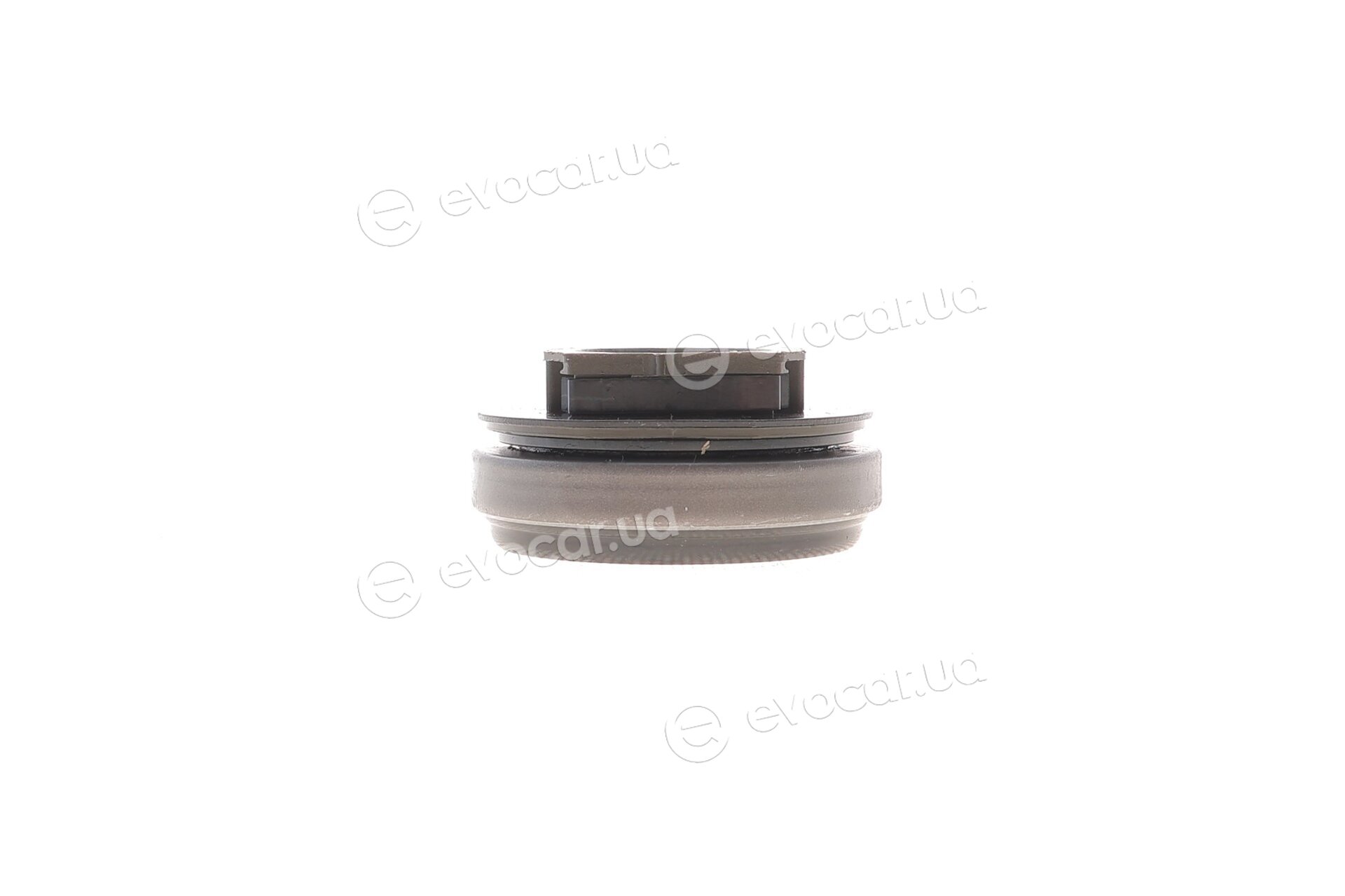 Blue Print ADBP300257
