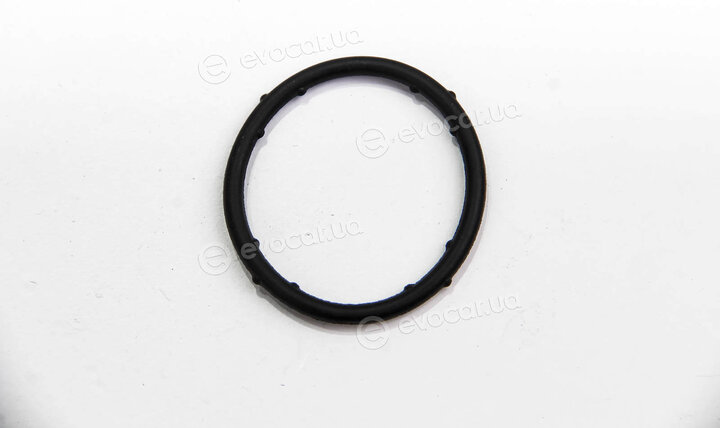 Elring 828.963