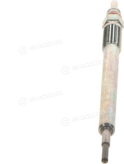 Bosch F 01G 004 031