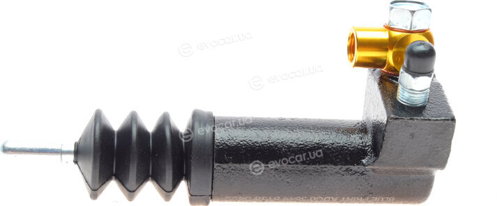Blue Print ADG03644